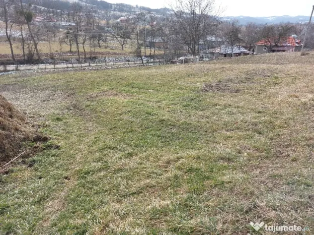 Teren Valea Crișului (Bratca) 1305mp