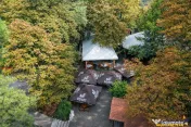 Complex Gastronomic:Afacere la cheie, Restaurant traditional 