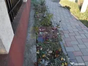 Casă aproape de București gata de mutat 
