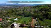 Teren de vanzare langa padure Copalnic Manastur 