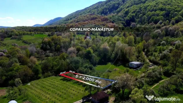 Teren de vanzare langa padure Copalnic Manastur