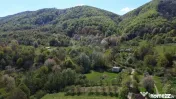 Teren de vanzare langa padure Copalnic Manastur