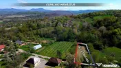 Teren de vanzare langa padure Copalnic Manastur 
