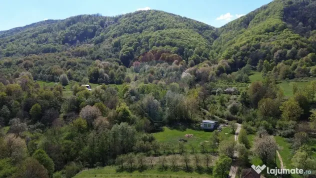 Teren de vanzare langa padure Copalnic Manastur