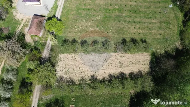 Teren de vanzare langa padure Copalnic Manastur