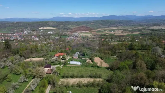 Teren de vanzare langa padure Copalnic Manastur