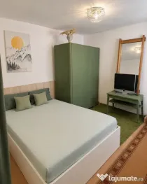 Apartament cu o cameră Lipovei