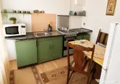 Apartament cu o cameră Lipovei 
