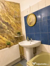 Apartament cu o cameră Lipovei 