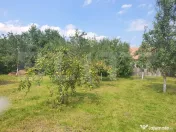 Casa individuala in loc. Livada / Petrestii de Jos 