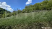 Teren extravilan, 9.083 mp, peisaj superb și liniște total 