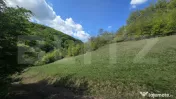 Teren extravilan, 9.083 mp, peisaj superb și liniște total 
