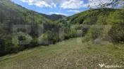 Teren extravilan, 9.083 mp, peisaj superb și liniște total 