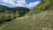 Teren extravilan, 9.083 mp, peisaj superb și liniște total 