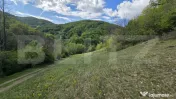 Teren extravilan, 9.083 mp, peisaj superb și liniște total 