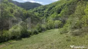 Teren extravilan, 9.083 mp, peisaj superb și liniște total 
