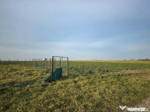 Teren intravilan | Eforie Nord - Steaua de Mare | Ideal inve - Eforie Nord (Constanta)