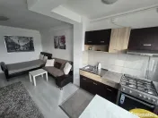 Iancului etaj 10 elev stefanescu 