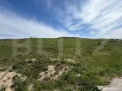 Teren de vanzare, Hereclean, oportunitate investitie 