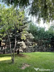 De Vanzare Casa Individuala zona Dimieni 