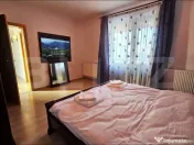 Casă spațioasă, prima închiriere, Florilor Brașov, curt 