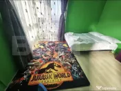 Casă spațioasă, prima închiriere, Florilor Brașov, curt 