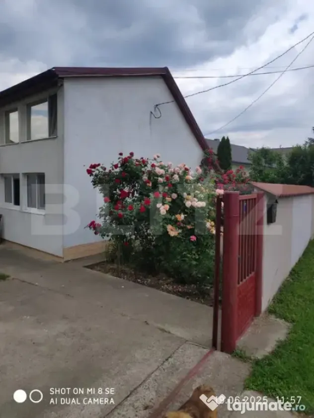 Casa de vanzare – Mitocul Dragomirnei