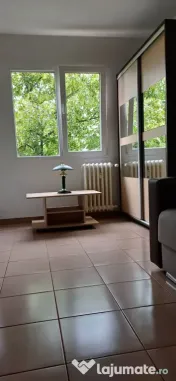 Dristor confort 2 ion tuculescu 