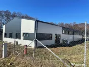 Oportunitate Tautii Magheraus - Hale noi si teren 