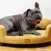 Canapea Galben - Soleil BRAUBRAU pentru Câini și Pisici 