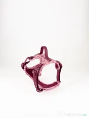 Signature Walk Set Roz BRAUBRAU pentru Câini 