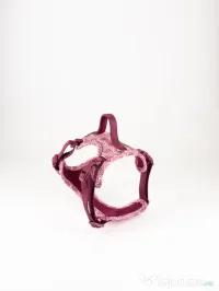 Signature Walk Set Roz BRAUBRAU pentru Câini 