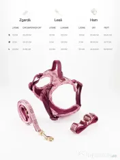 Signature Walk Set Roz BRAUBRAU pentru Câini 