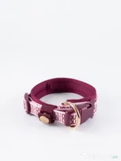 Signature Walk Set Roz BRAUBRAU pentru Câini 