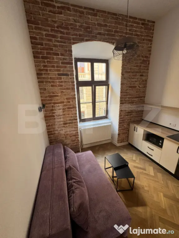 Apartament 1 camera, 27 mp, la casa, Ultracentral