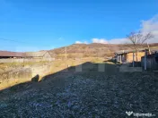 Teren Intravilan Dumitrita 
