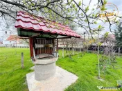 Casa cu farmec rustic teren privat de 3.315 mp, Borosneul 