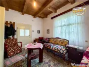 Casa cu farmec rustic teren privat de 3.315 mp, Borosneul 