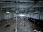 Spațiu industrial, 28.100mp, zona Bucovăț 
