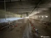 Spațiu industrial, 28.100mp, zona Bucovăț 