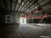 Spațiu industrial, 28.100mp, zona Bucovăț 