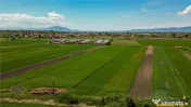FILM! Teren extravilan 5.000 mp in zona linistita cu acces f 