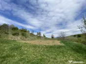 Teren INTRAVILAN 25.2 ari – LIVEZILE, POSIBILITATE PARCELA 
