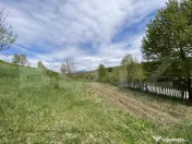 Teren INTRAVILAN 25.2 ari – LIVEZILE, POSIBILITATE PARCELA 