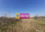 Teren cu vizibilitate extraordinara - 100ml la DNCB Centu... 