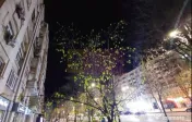 Spatiu comercial bd DECEBAL - PIATA ALBA IULIA, inchirier... 