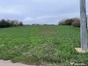 Teren Comana- strada Funieru. 