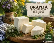 Vând brânză proaspătă de capră, vacă și mixtă – en-gros și retail 