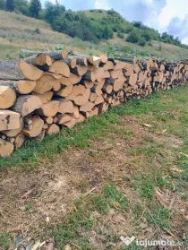 Lemne de foc esenta tare