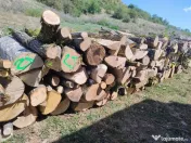 Lemne de foc esenta tare 